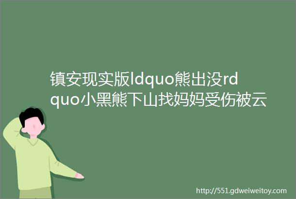 镇安现实版ldquo熊出没rdquo小黑熊下山找妈妈受伤被云镇村民救起